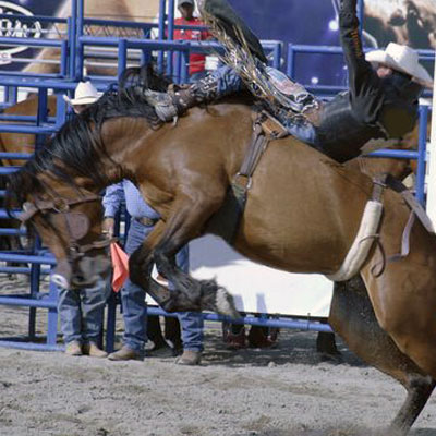 kootenai rodeo